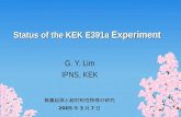 Status of the KEK E391a  Experiment
