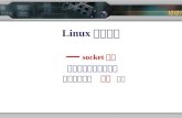 Linux 系统开发 —— socket 编程