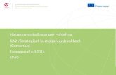Hakuneuvonta Erasmus + - ohjelma KA2 /Strategiset kumppanuushankkeet  ( Comenius )