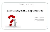 Knowledge and capabilities