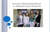 Liceum Ogólnokształcące  w Ząbkowicach Śląskich