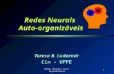 Redes Neurais  Auto-organizáveis