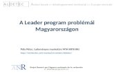 A  Leader  program problémái Magyarországon