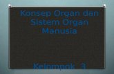 Konsep  Organ  dan Sistem  Organ  Manusia Kelompok   3