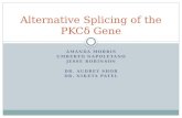 Alternative Splicing of the PKC δ  Gene