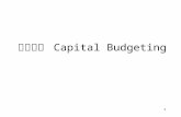 資本預算  Capital Budgeting