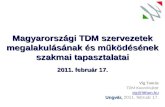 Víg Tamás TDM Koordiná tor vig @ itthon.hu Ungvár,  2011. február 17.