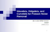 Wavelets, Ridgelets, and Curvelets for Poisson Noise Removal
