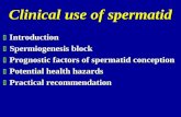 Clinical use of spermatid