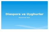 Diaspora ve Uyghurlar