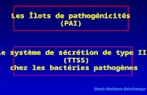 Le système de sécrétion de type III  (TTSS) chez les bactéries pathogènes