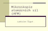Mikroskopie atomárních sil (AFM)