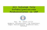 Alt Solunum Yolu Enfeksiyonlarında Prokalsitonin ve CRP