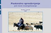 Pastoralno spreobrnjenje pot nove evangelizacije Branko Cestnik CMF