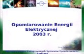 Opomiarowanie Energii Elektrycznej  2003 r.