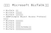 第八章  Microsoft BizTalk 架構