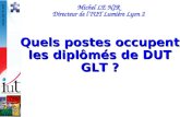 Quels postes occupent les diplômés de DUT GLT ?