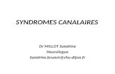 SYNDROMES CANALAIRES