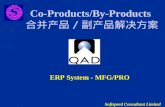 Co-Products/By-Products 合并产品 / 副产品解决方案