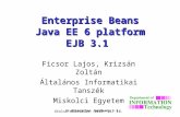 Enterprise Beans Java EE  6  platform EJB 3.1