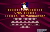 การใช้ระบบปฏิบัติการ  UNIX  พื้นฐาน  บทที่ 4  File Manipulation