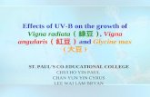ST. PAUL’S CO-EDUCATIONAL COLLEGE CHUI HO YIN PAUL  CHAN YUN YIN CYRUS LEE WAI LAM BRYAN