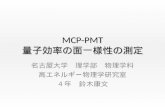 MCP-PMT 量子効率の面一様性の測定