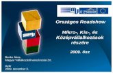 Országos Roadshow  Mikro-, Kis-, és Középvállalkozások részére 2009. ősz