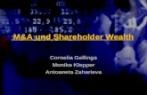 M&A und Shareholder Wealth