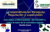 Cooperativas en Paraguay: Regulación y supervisión