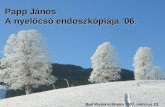 Papp János A nyelőcső endoszkópiája ’06 .