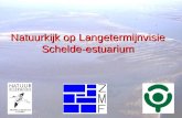 Natuurkijk op Langetermijnvisie Schelde-estuarium