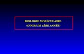 BIOLOGIE MOLÉCULAIRE  ( COURS DE 1ÈRE ANNÉE )