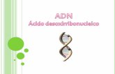 ADN Ácido desoxirribonucleico