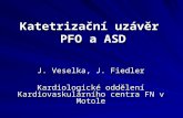 Katetrizační uzávěr  PFO a ASD