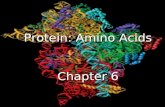 Protein: Amino Acids Chapter 6