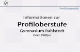 Informationen zur  Profiloberstufe Gymnasium Rahlstedt Gerd Püttjer