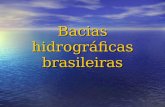 Bacias hidrográficas brasileiras