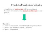 Principi dell'agricoltura biologica 1. migliorare la  biodiversità  dell'agroecosistema