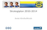 Strategiplan 2010-2014