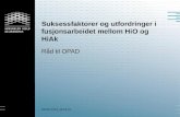 Suksessfaktorer og utfordringer i fusjonsarbeidet mellom  HiO  og  HiAk