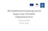 Rehabilitatsiooniprogrammi tegevuste hindade väljatöötamine