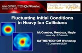 Fluctuating Initial Conditions in Heavy Ion Collisions