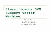 Classificador SVM Support Vector Machine