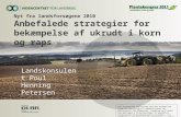 Nyt fra landsforsøgene 2010 Anbefalede strategier for bekæmpelse af ukrudt i korn og raps