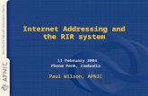 Internet Addressing and the RIR system