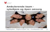Ambulerende team - sykehjem og åpen omsorg