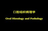 口腔组织病理学 Oral Histology and Pathology