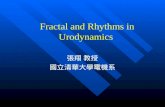 Fractal and Rhythms in Urodynamics