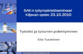 SAK:n työympäristöseminaari  Kiljavan opisto  23.10.2010